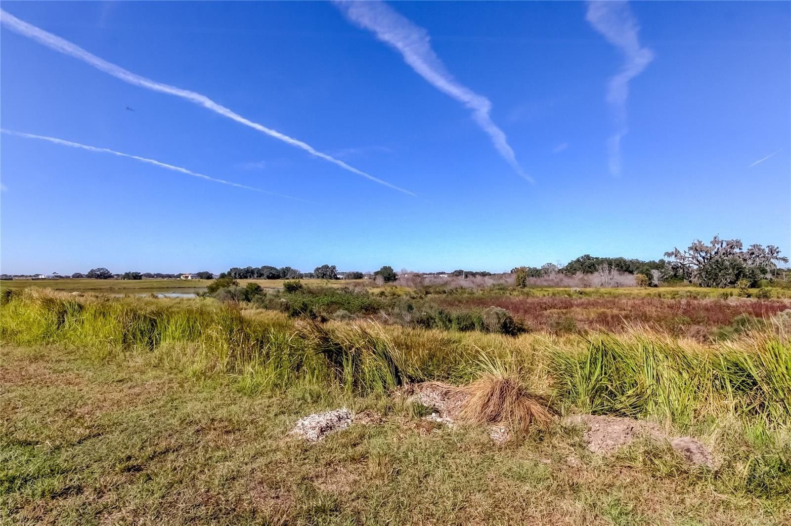 11325 Linden Depot Road. San Antonio, FL 33576