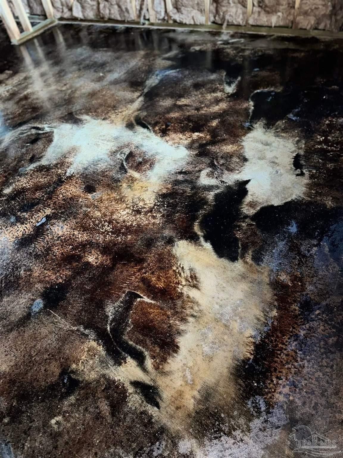 6793 Twister Ln. Milton, FL 32583