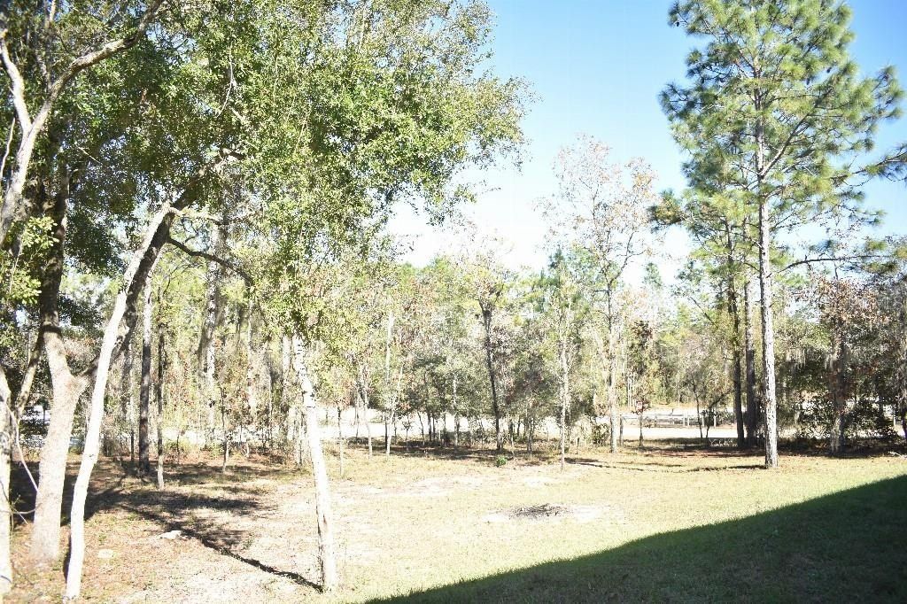 13230 Ne 9Th Street. Williston, FL 32696