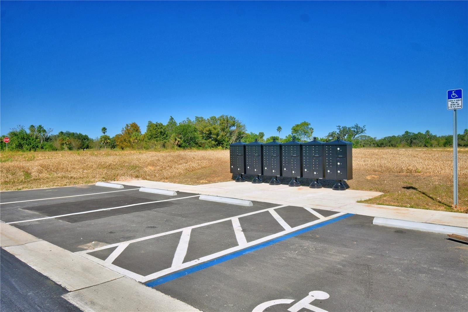 1009 Hickory Ridge Estates Drive. Lake Wales, FL 33898