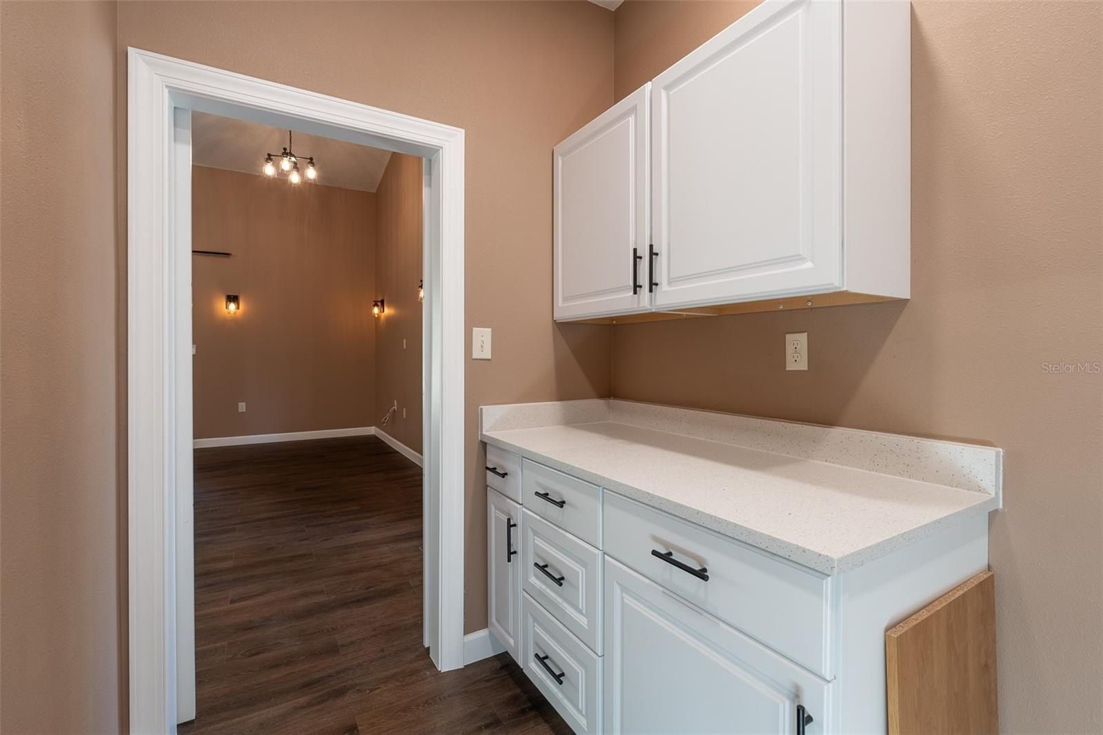 6425 Cartwrite Road. Spring Hill, FL 34609