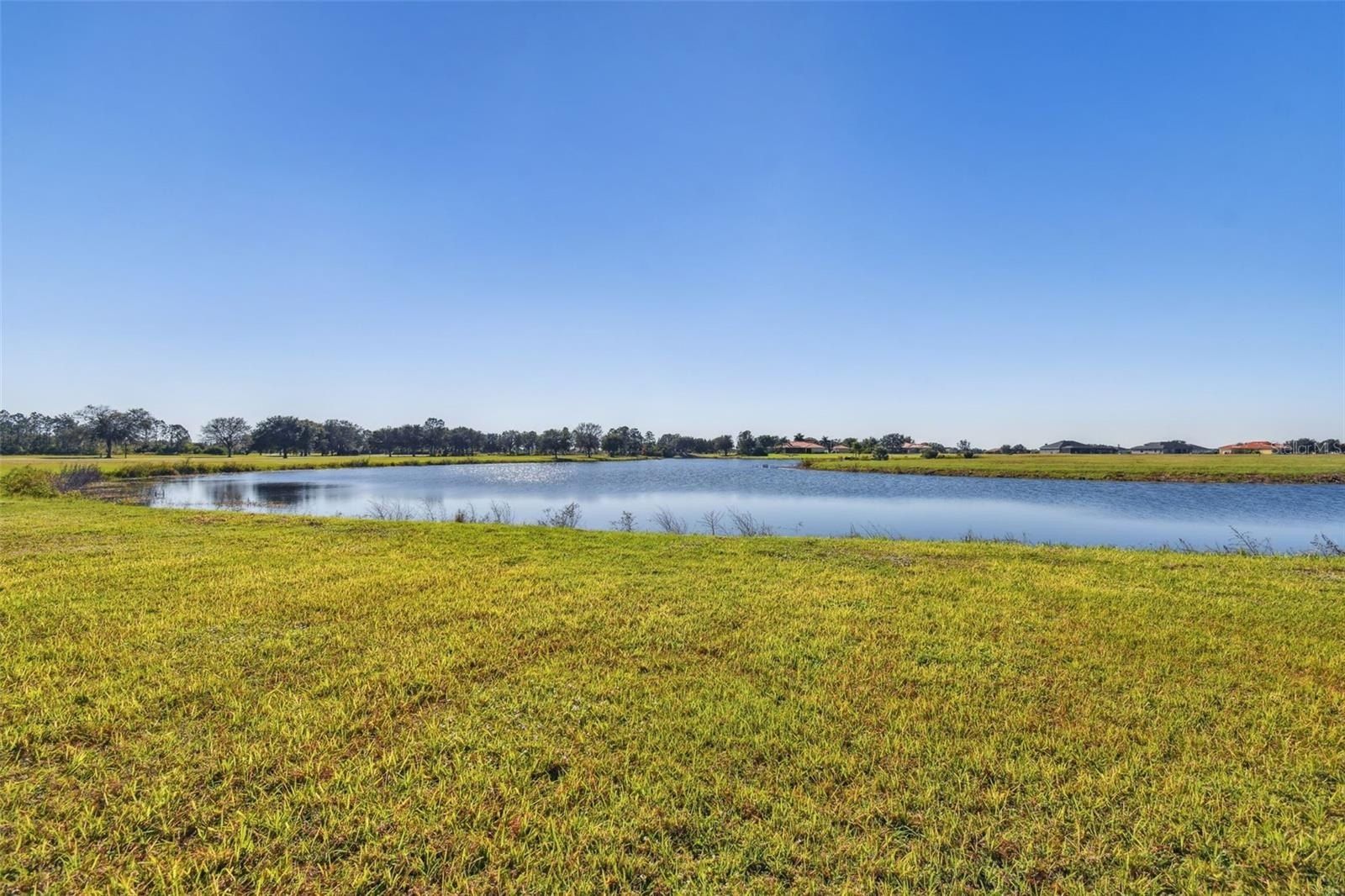 5333 Lake Venice Drive. Wimauma, FL 33598