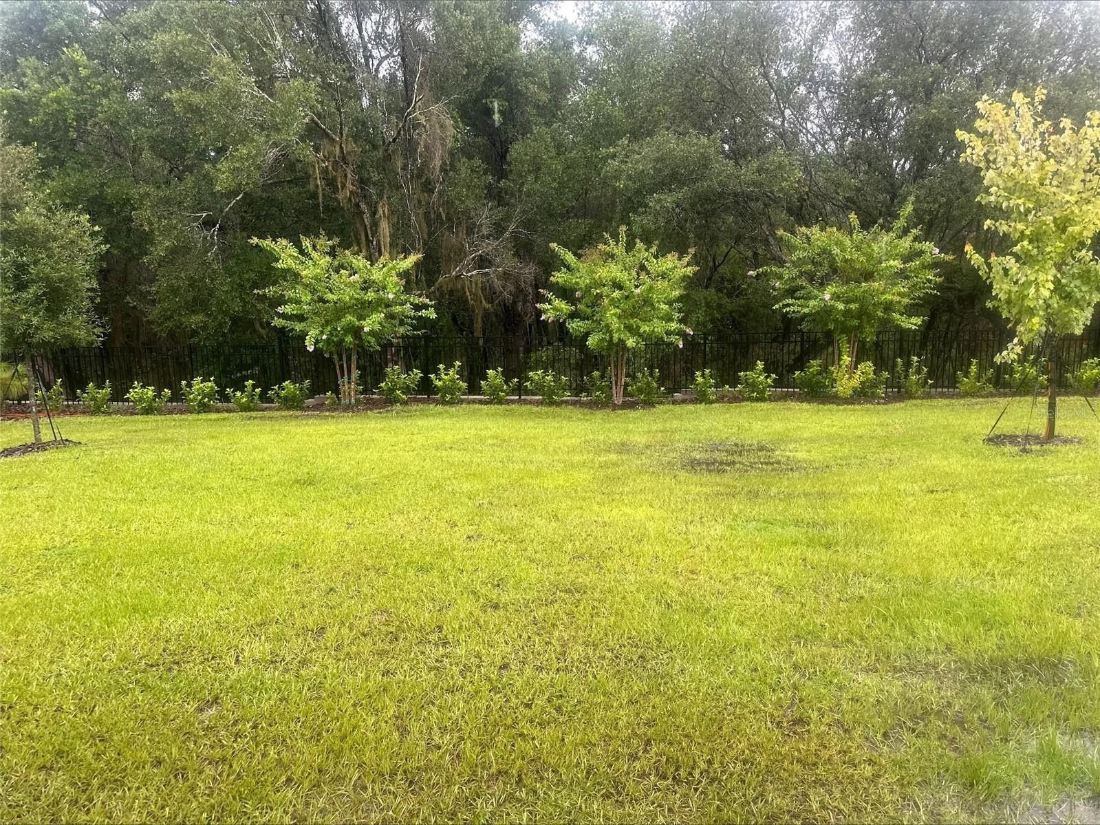 858 Sunshower Drive. Lady Lake, FL 32159