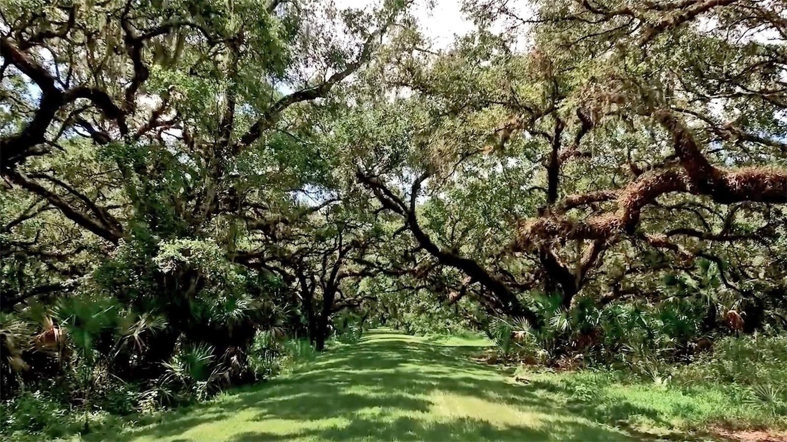 13825 Bilsdale Court. Myakka City, FL 34251