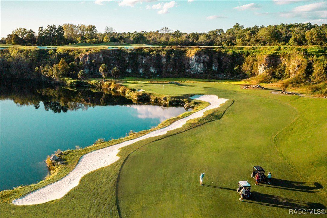 3221 W Wentworth Loop. Lecanto, FL 34461