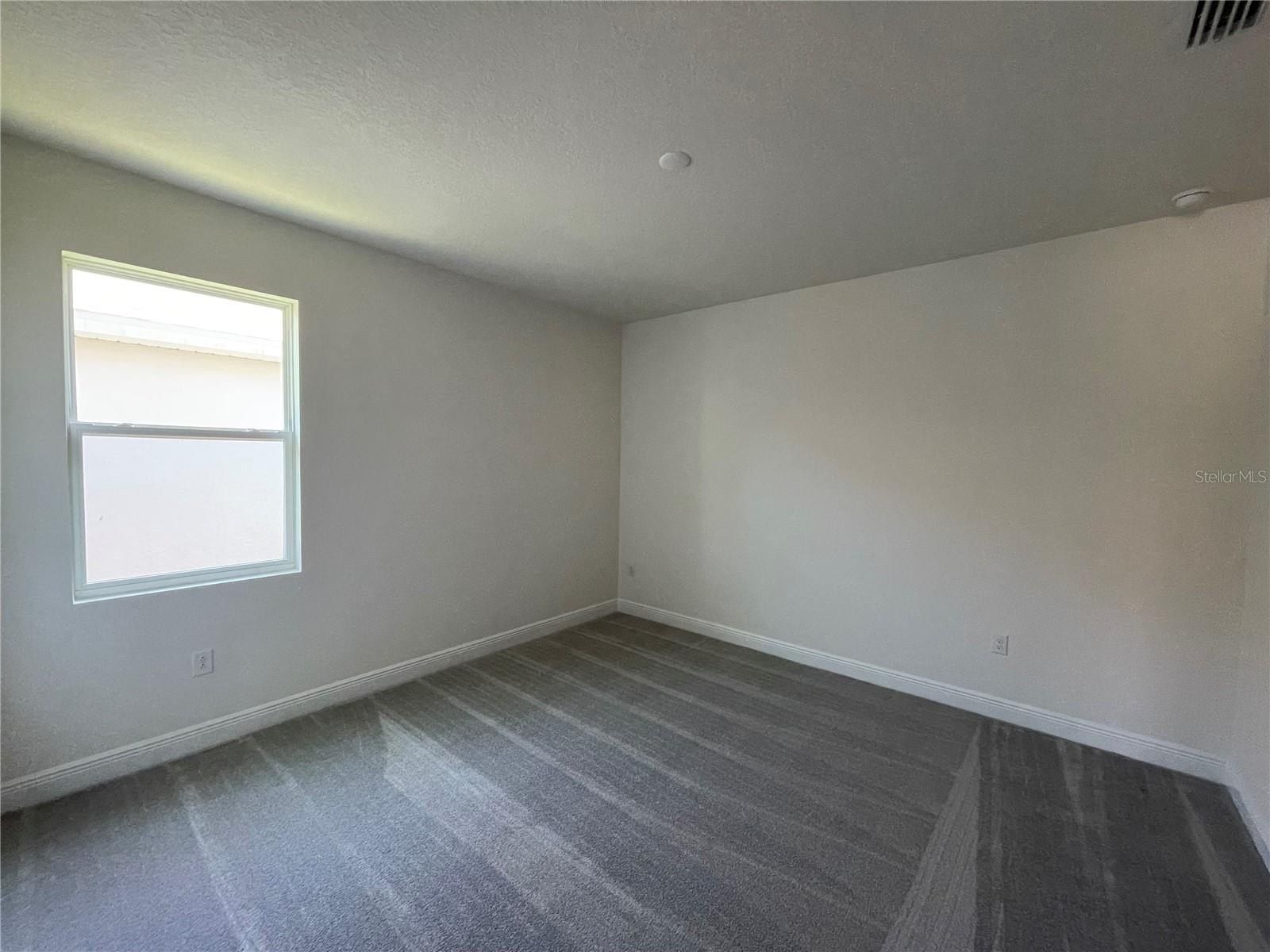 17374 Crisp Apple Lane. Land O' Lakes, FL 34638