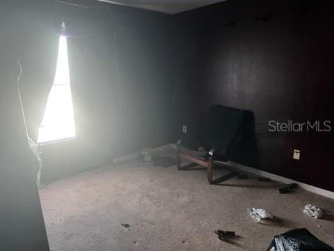 13405 Graham Yarden Drive. Riverview, FL 33579