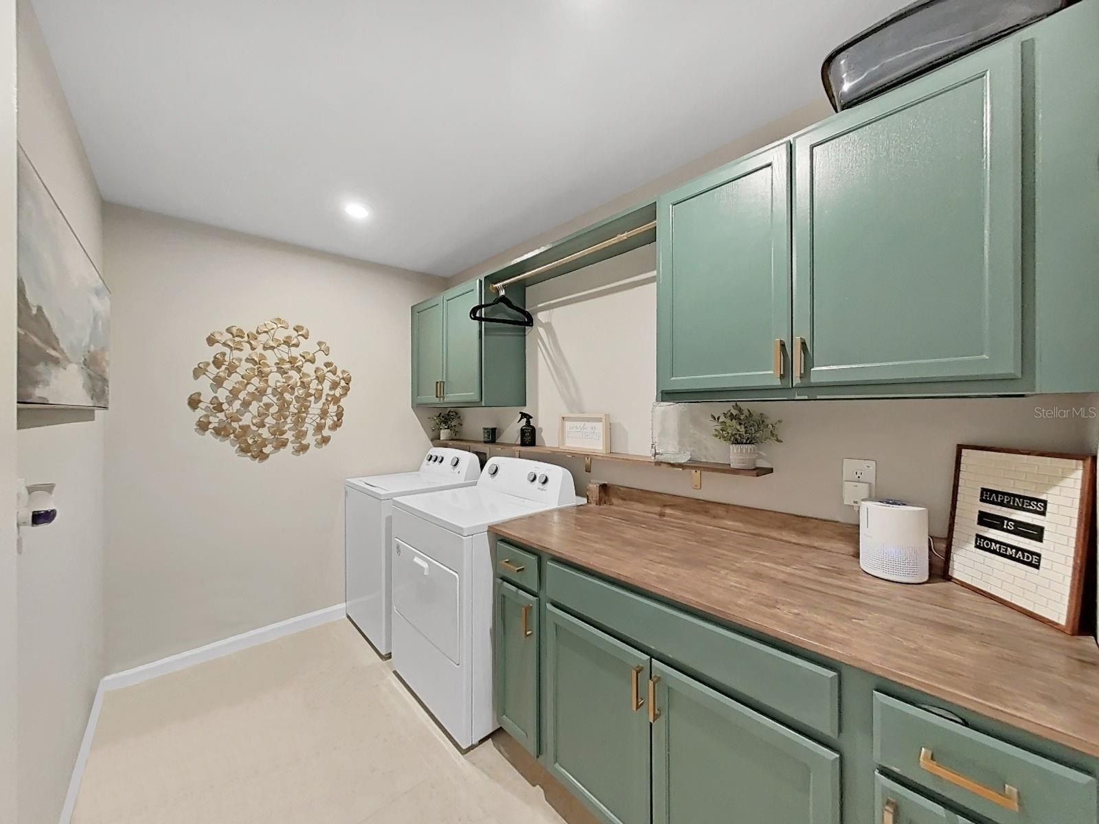 4104 Snail Cork Place. Lutz, FL 33559