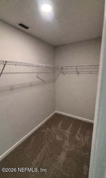 1307 Jewelstone Lane. Jacksonville, FL 32221