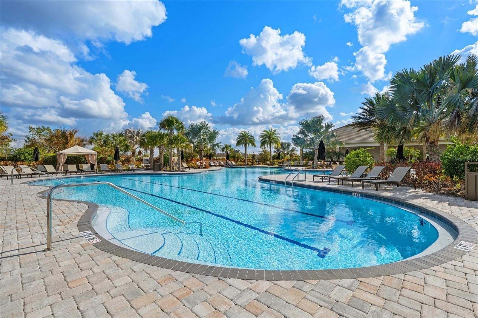 29563 Velletri Lane. Wesley Chapel, FL 33543