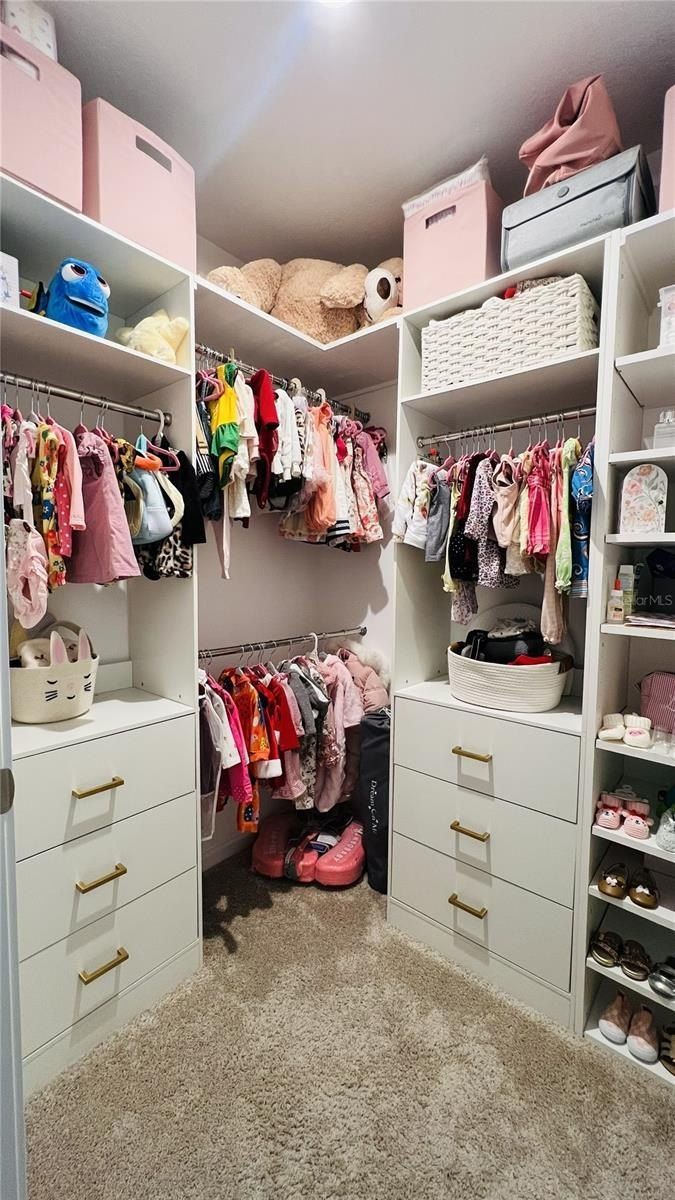 4104 Snail Cork Place. Lutz, FL 33559