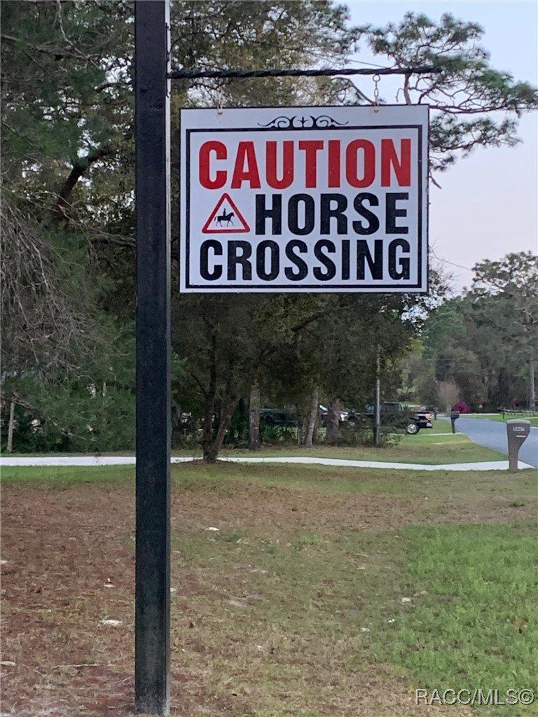 3155 W Brazilnut Road. Beverly Hills, FL 34465