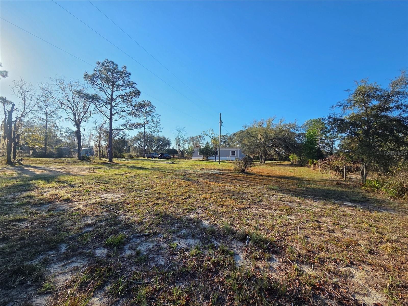 12070 Ne 63Rd Place. Williston, FL 32696