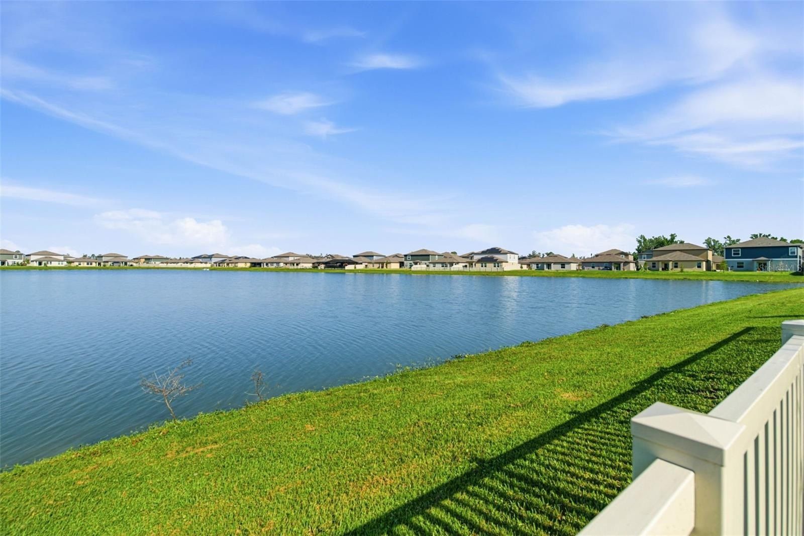 3643 Forest Path Drive. Plant City, FL 33565