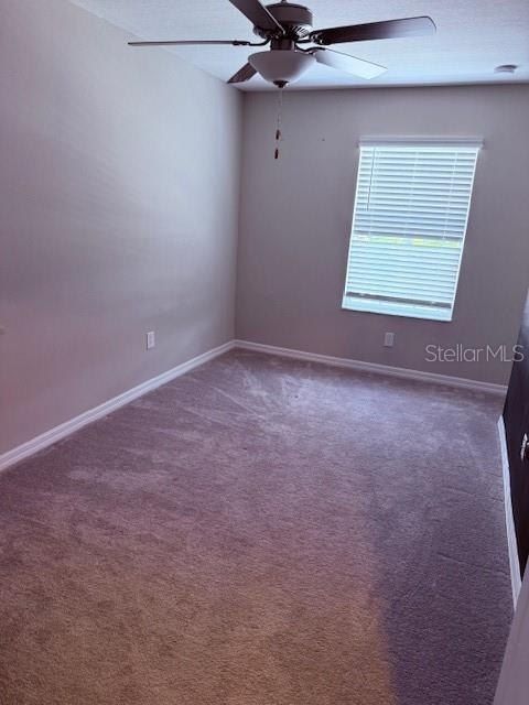 2136 Cerulean Sky Way. Lutz, FL 33558