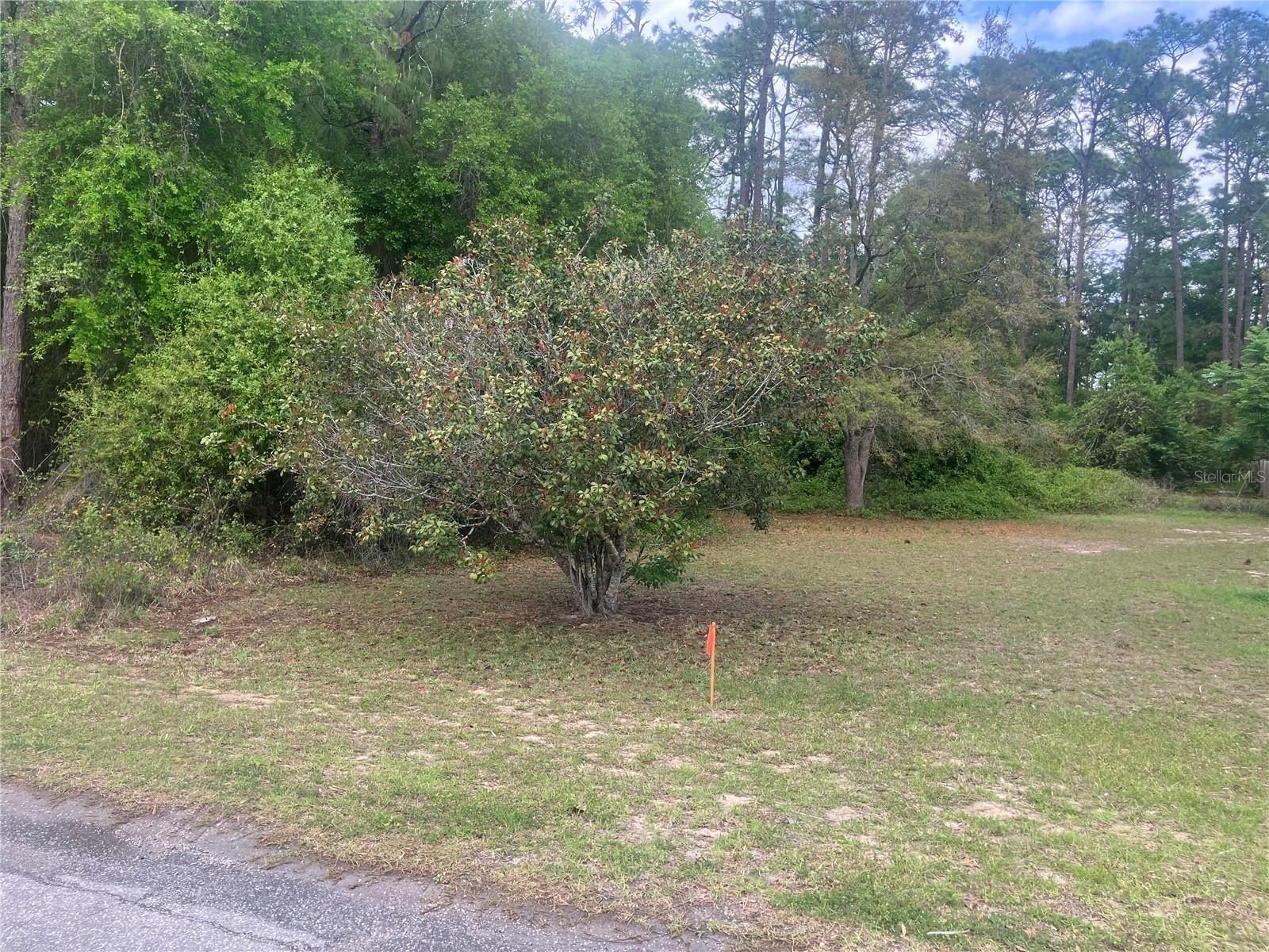 Se 19Th Place Se 19Th Place. Silver Springs, FL 34488