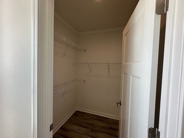 928 Bonaire Avenue 37. Venice, FL 34285