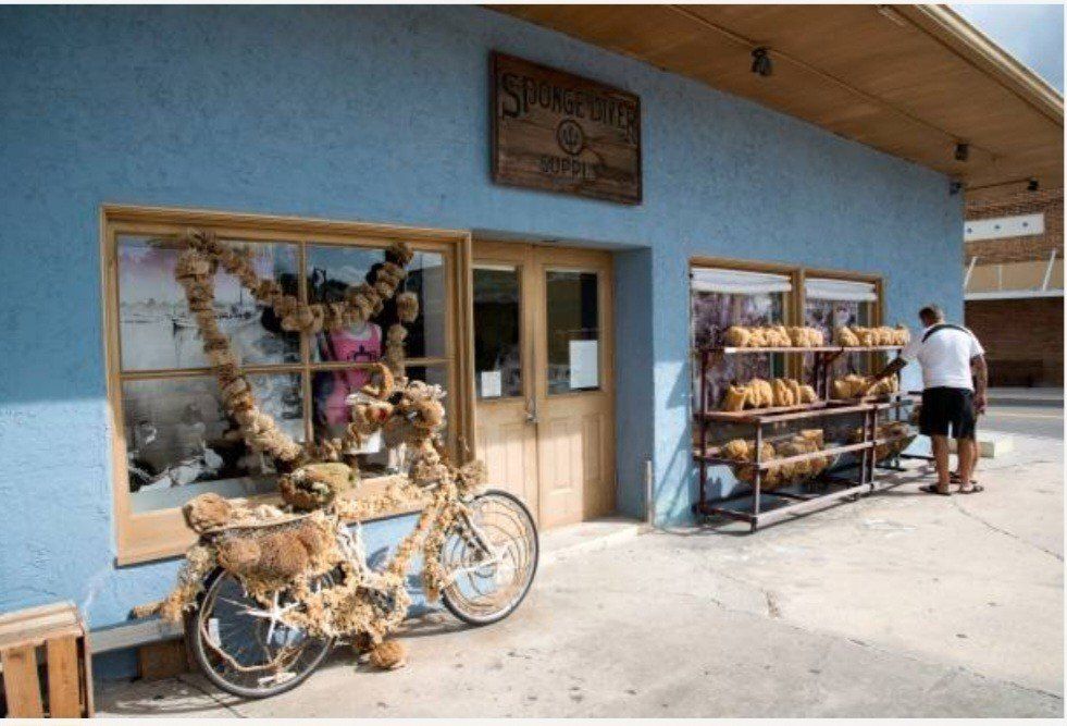 450 Cary Lane. Tarpon Springs, FL 34689