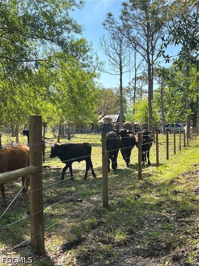 15841 Rassmussen Road. Punta Gorda, FL 33982