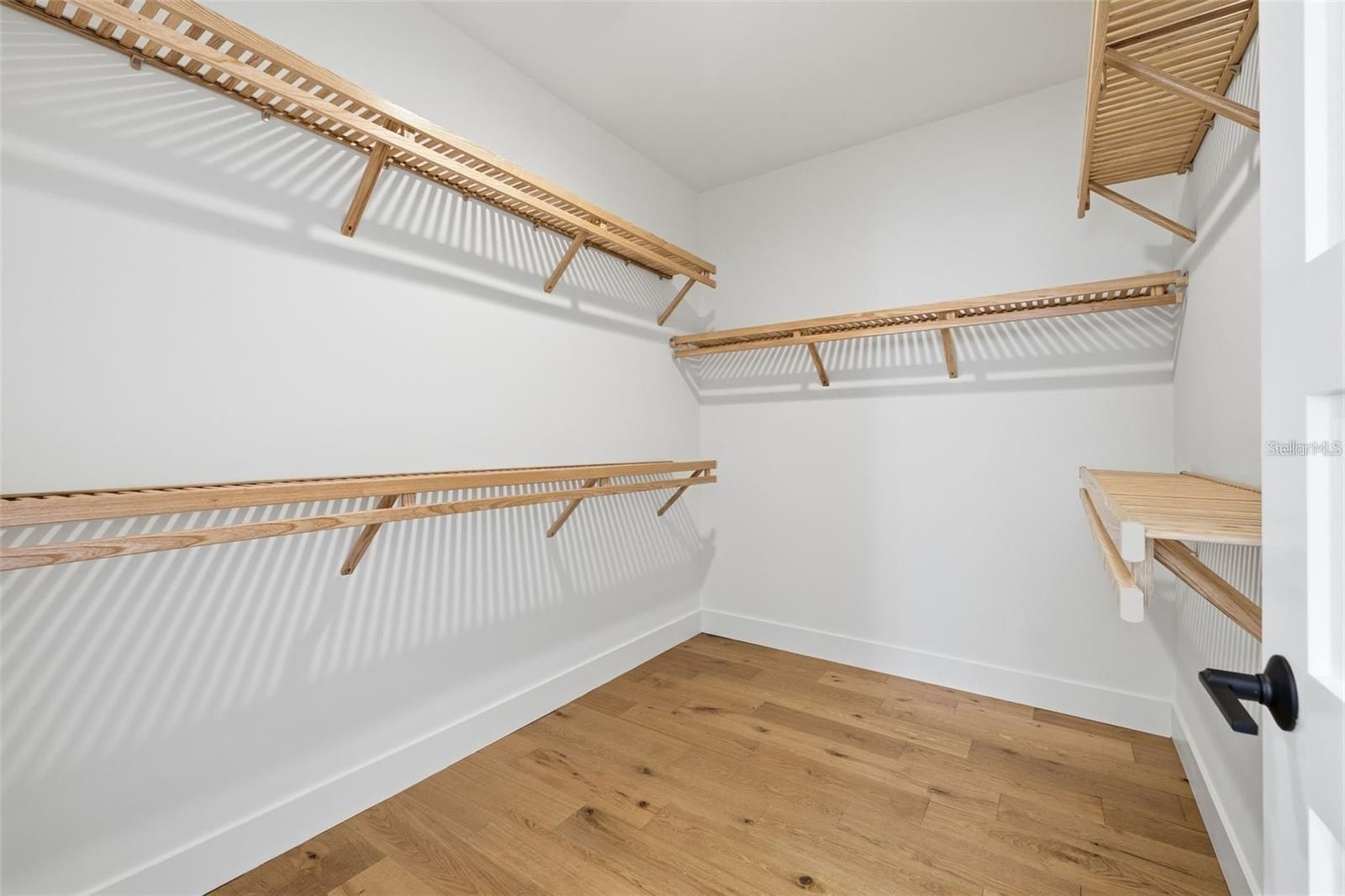 407 S Albany Avenue. Tampa, FL 33606