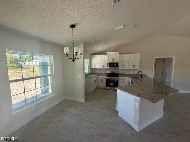 1223 Ne 18Th Terrace. Cape Coral, FL 33909