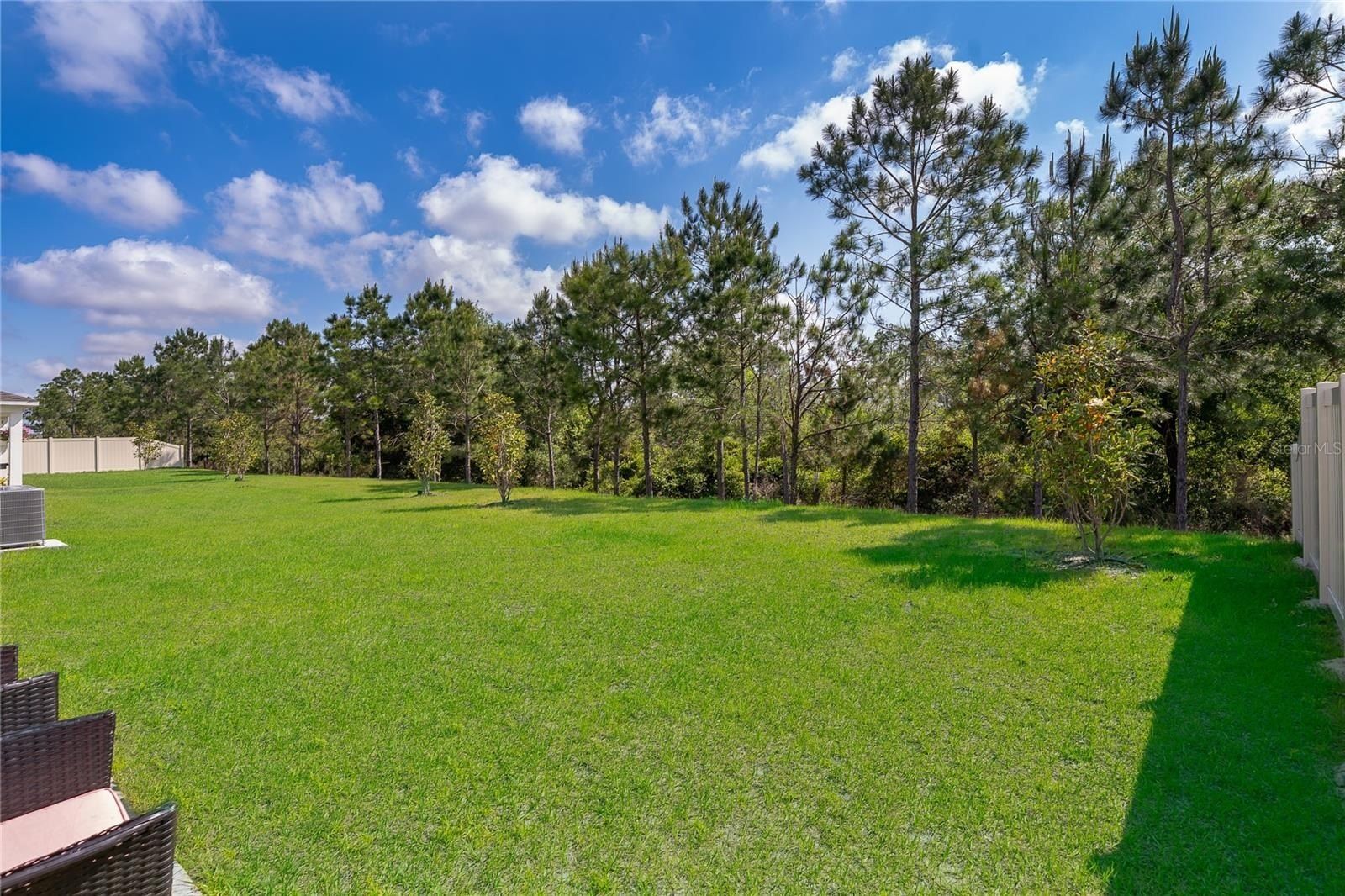 3390 Sanctuary Drive. Clermont, FL 34714