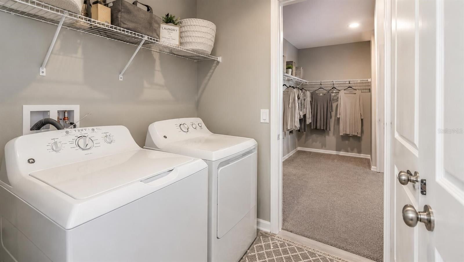 33320 Castaway Loop. Wesley Chapel, FL 33543