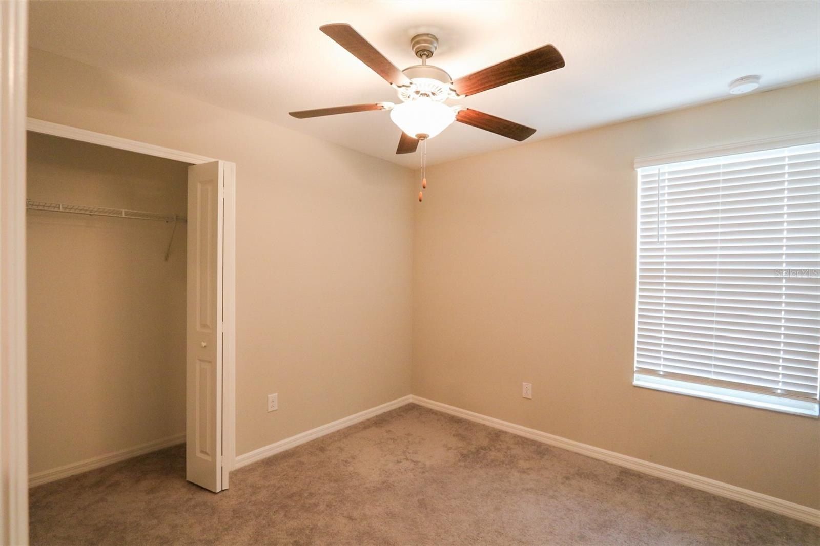 3715 Daisy Bloom Place. Tampa, FL 33619