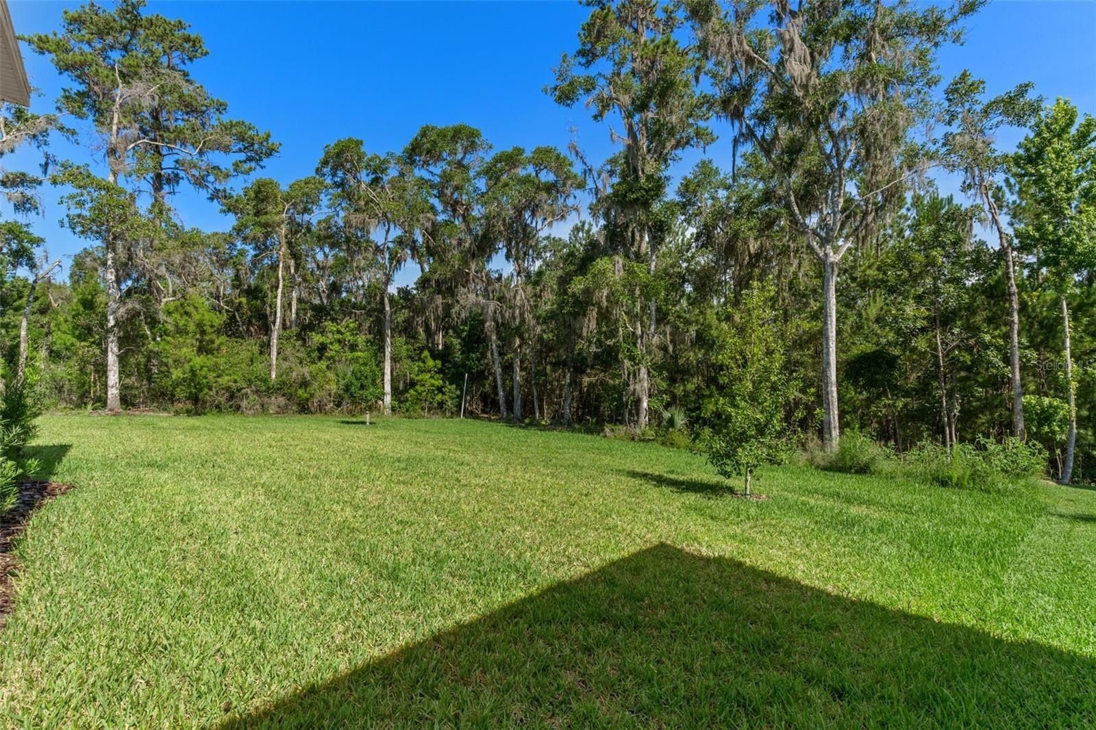6671 Summit View Drive. Brooksville, FL 34601