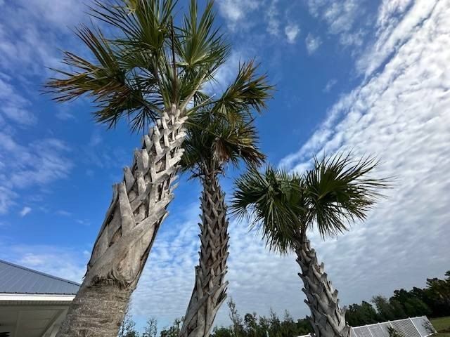 72 Red Drum Drive. Freeport, FL 32439