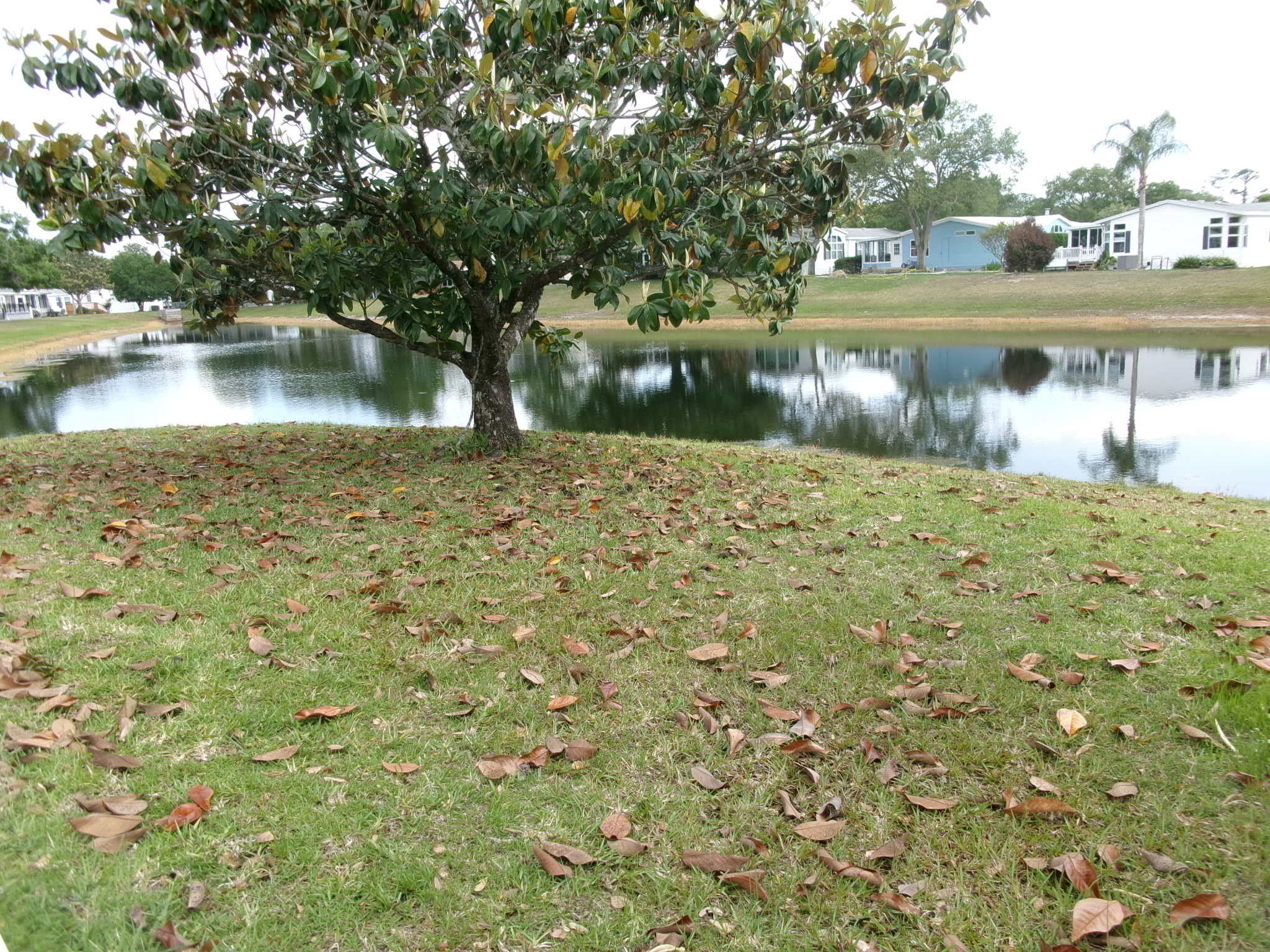 2 Panda Bear Path. Ormond Beach, FL 32174