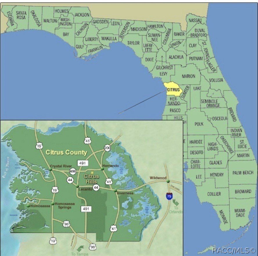 699 W Hallam Drive. Dunnellon, FL 34434