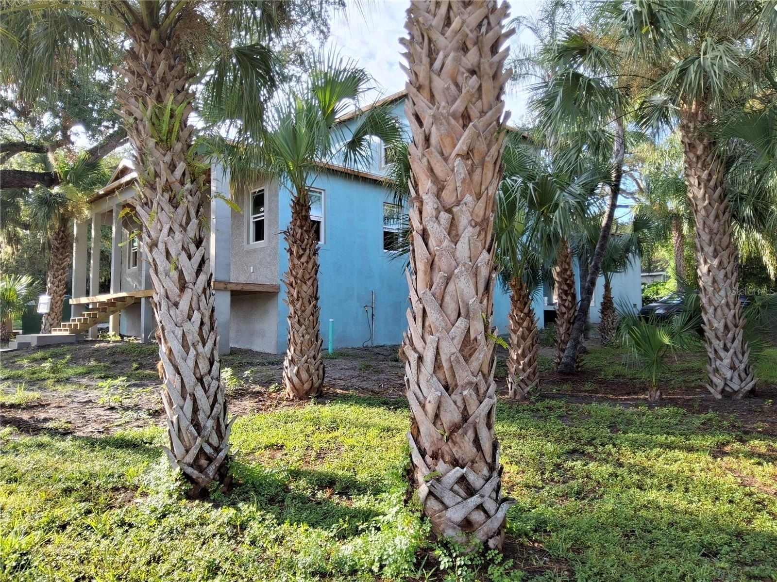 383 Georgia Avenue. Crystal Beach, FL 34681