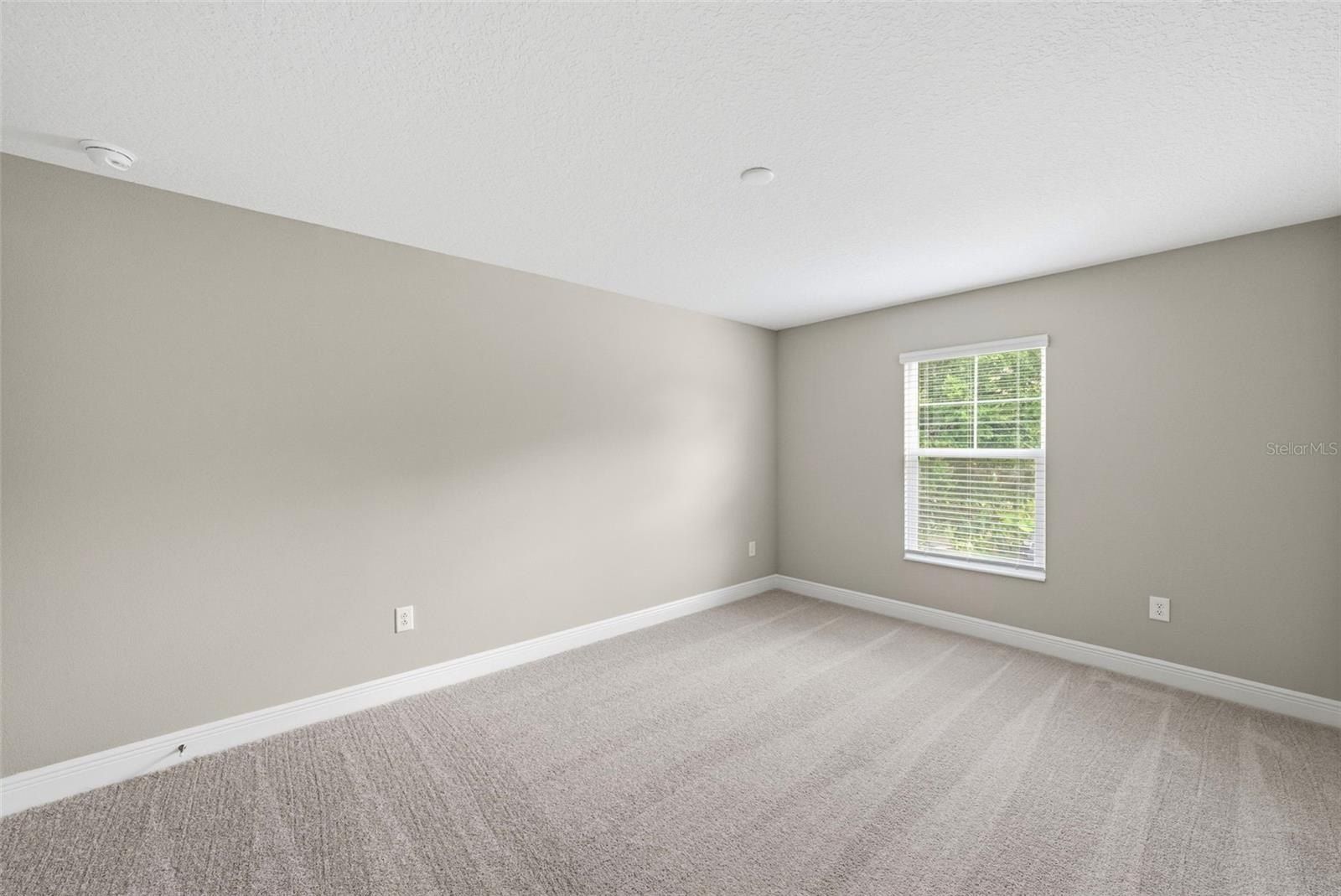 6226 29Th Street N. St Petersburg, FL 33702