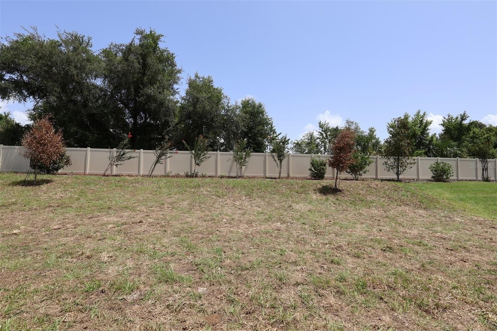 3254 Wolf Lake Avenue. Apopka, FL 32712