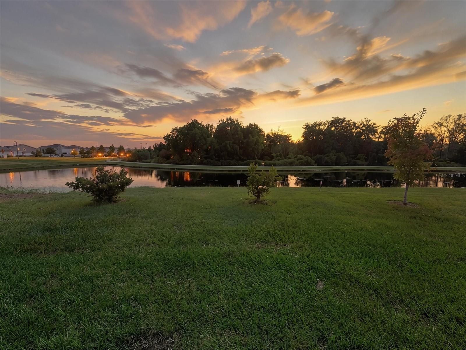 2009 Myrtle Pine Street. Kissimmee, FL 34746