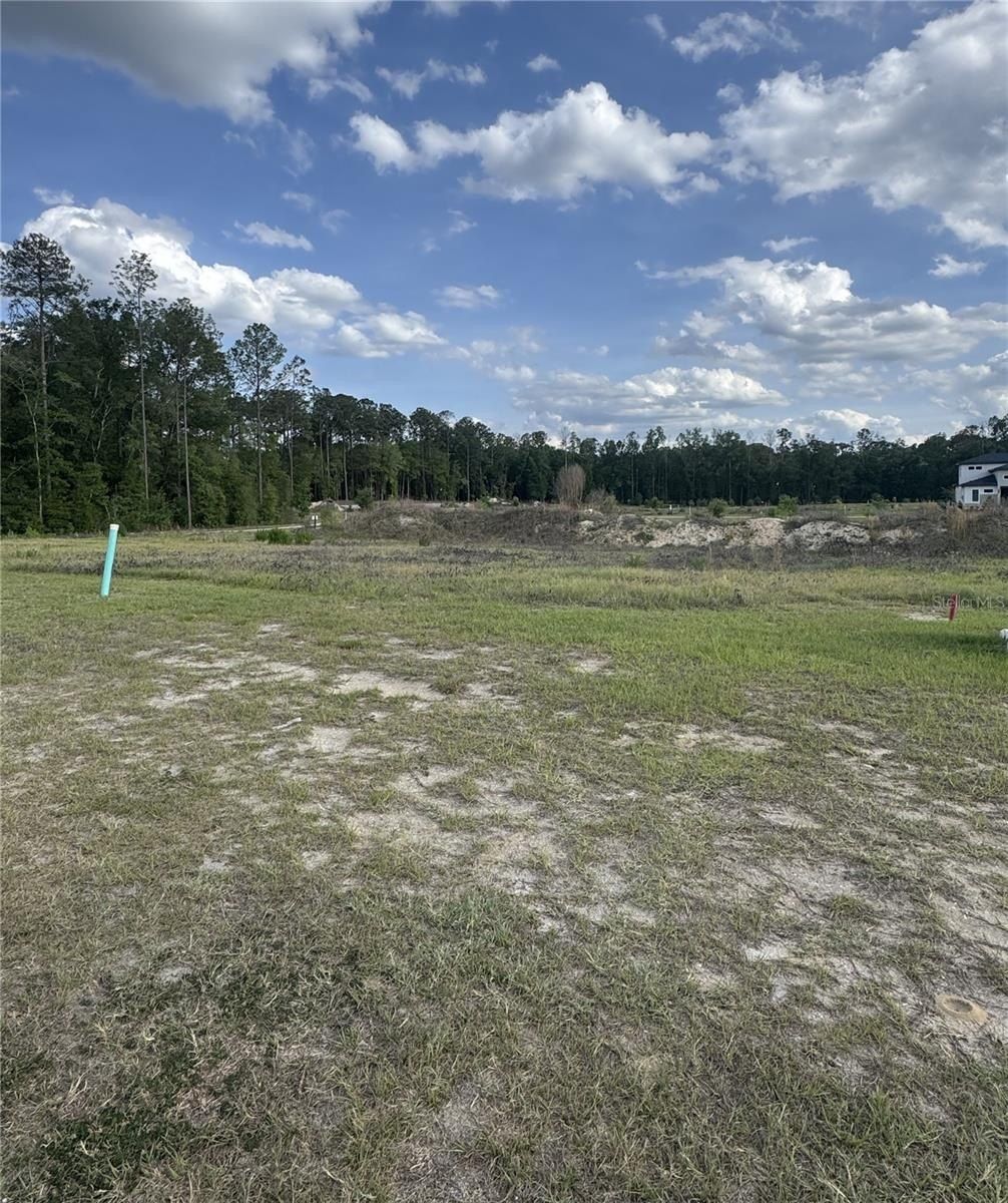 14759 Sw 9Th Lane. Newberry, FL 32669