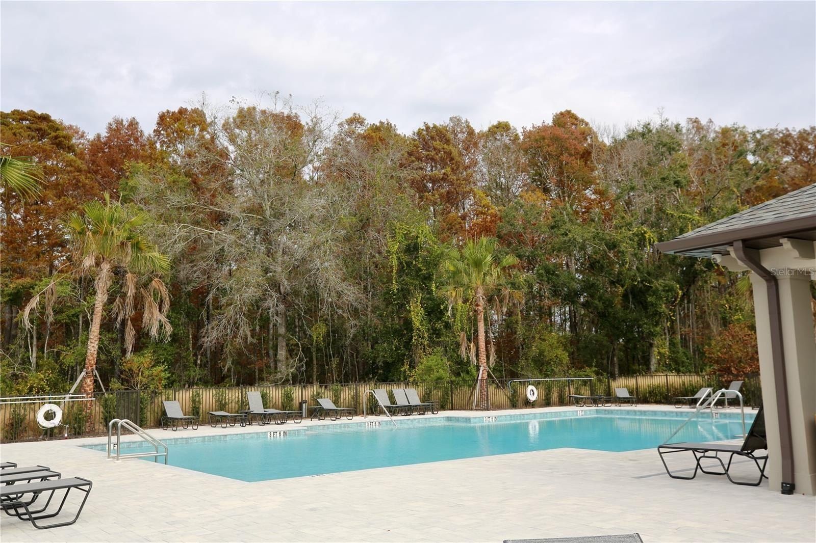 17620 Nectar Flume Drive. Land O' Lakes, FL 34638