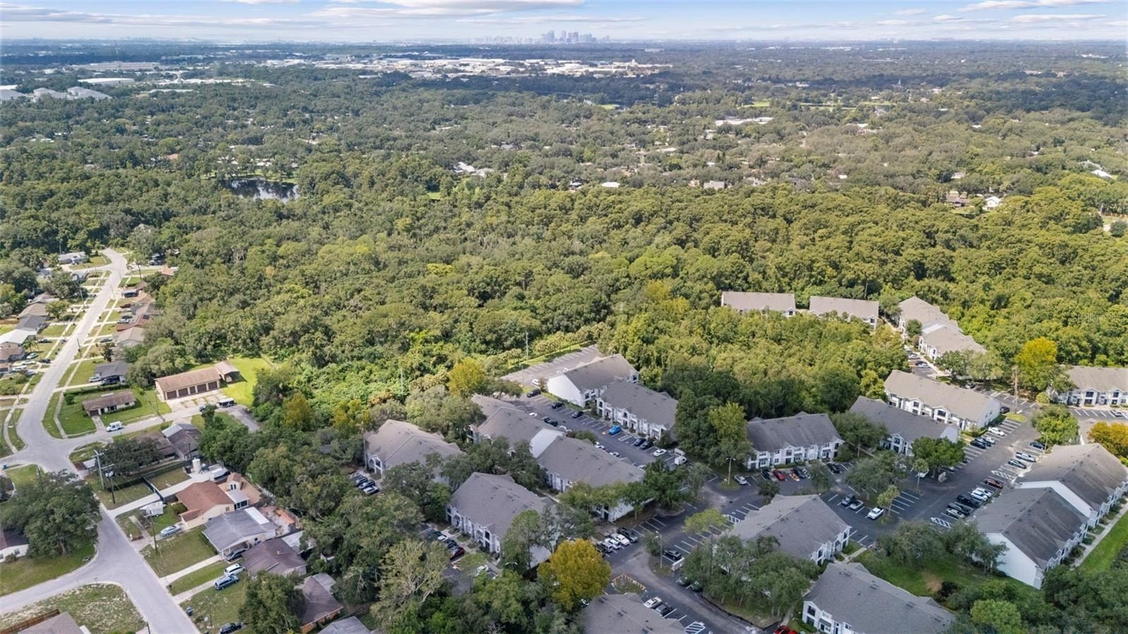 Allview Drive. Tampa, FL 33637