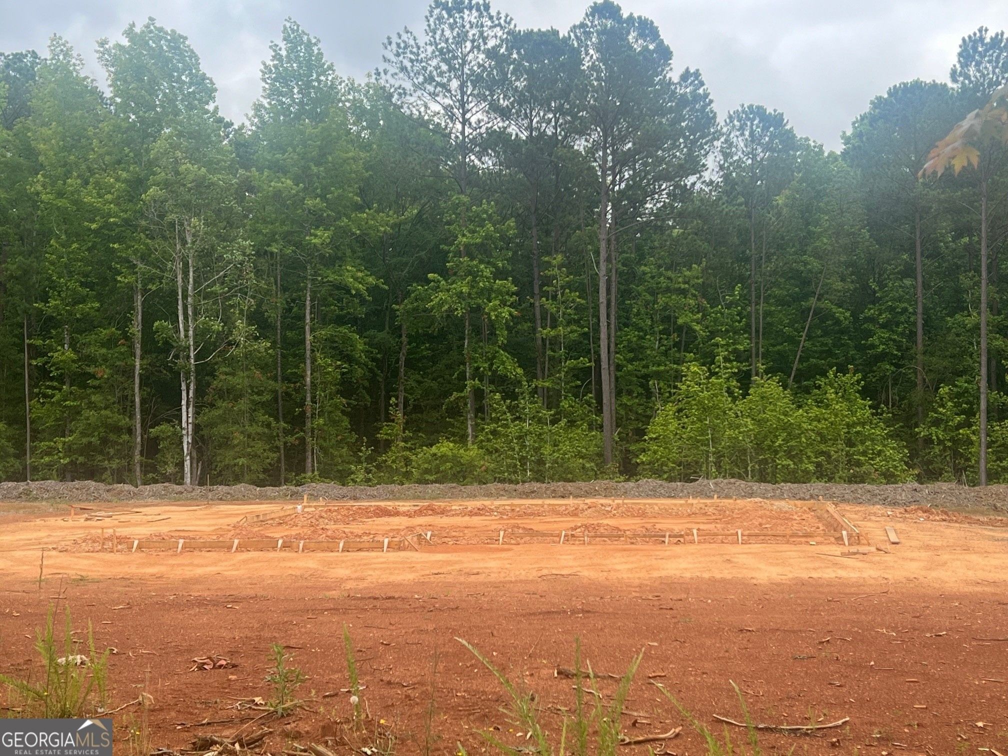 551 Homestead Lot 43 Circle. Forsyth, GA 31029