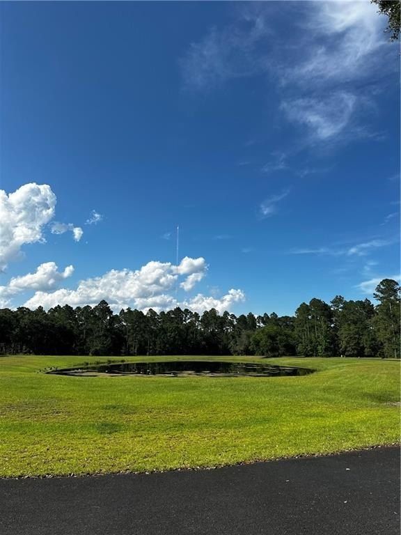 Lot 610 Ne Blue Heron Lane. Townsend, GA 31331