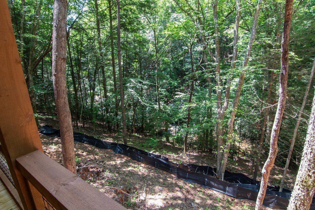 1990 Big Creek. Blue Ridge, GA 30513