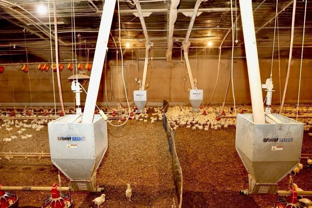 1487 Maple Grove Church Road. Resaca, GA 30735