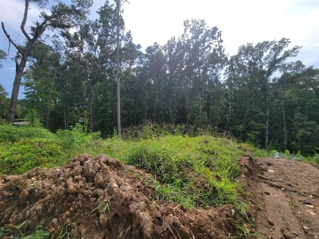 Tr 2 Old Northcutt Road. Ellijay, GA 30540