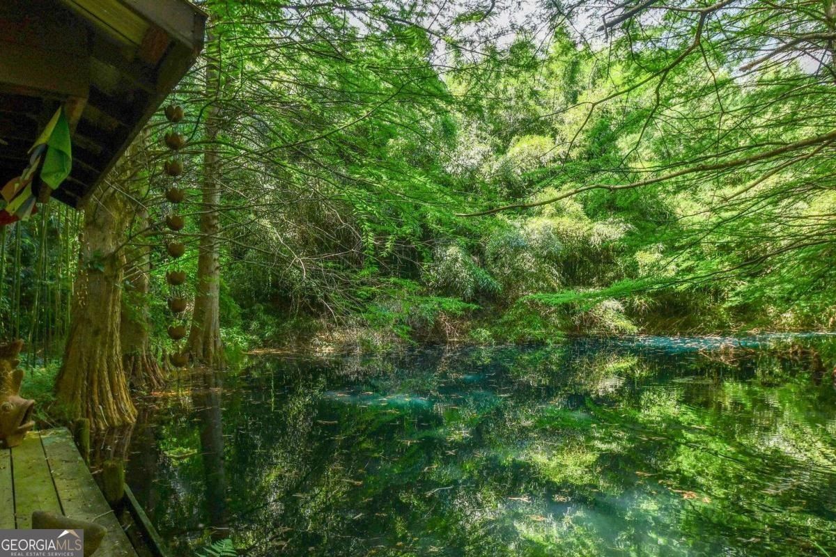 501 The Orchard Road. Clarkesville, GA 30523