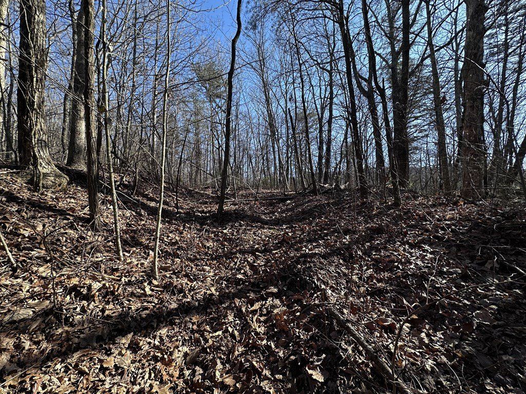 57 St Andrews Way. Ellijay, GA 30536