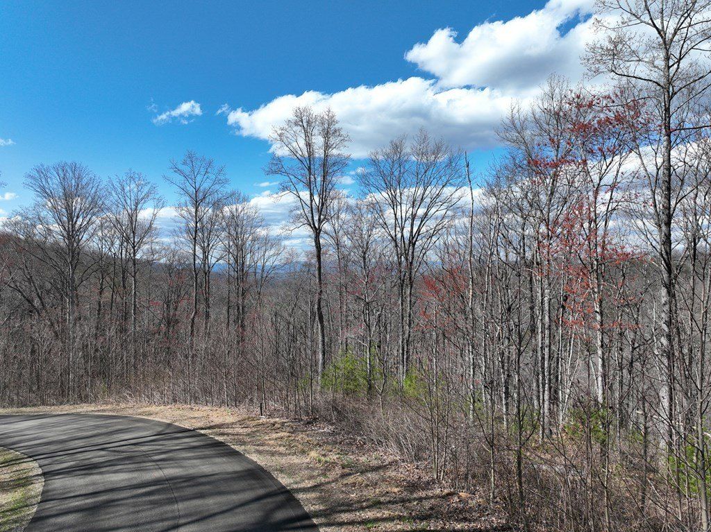 270R Stone Cliff Drive. Ellijay, GA 30536