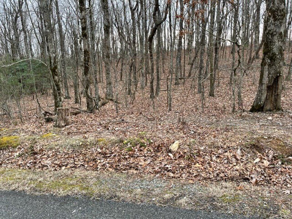 184 St Andrews Way. Ellijay, GA 30536