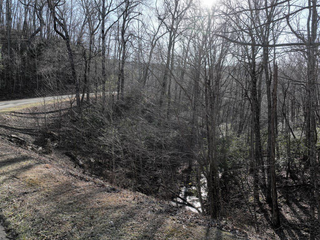 216 St Andrews Way. Ellijay, GA 30536