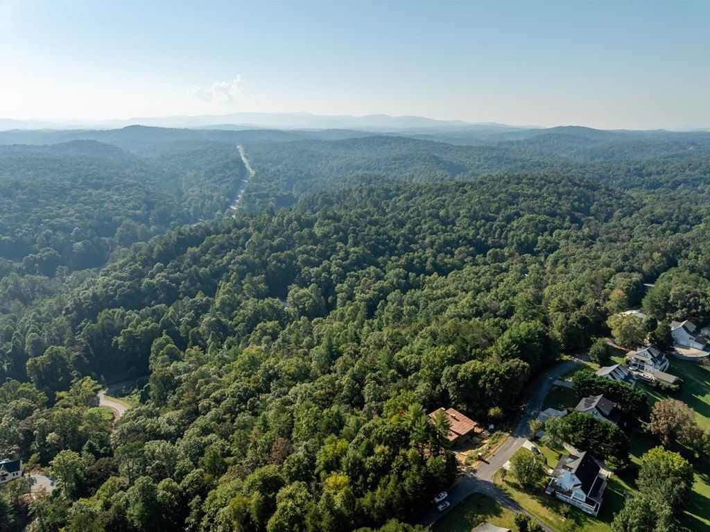 216 Old Orchard Road. Ellijay, GA 30536